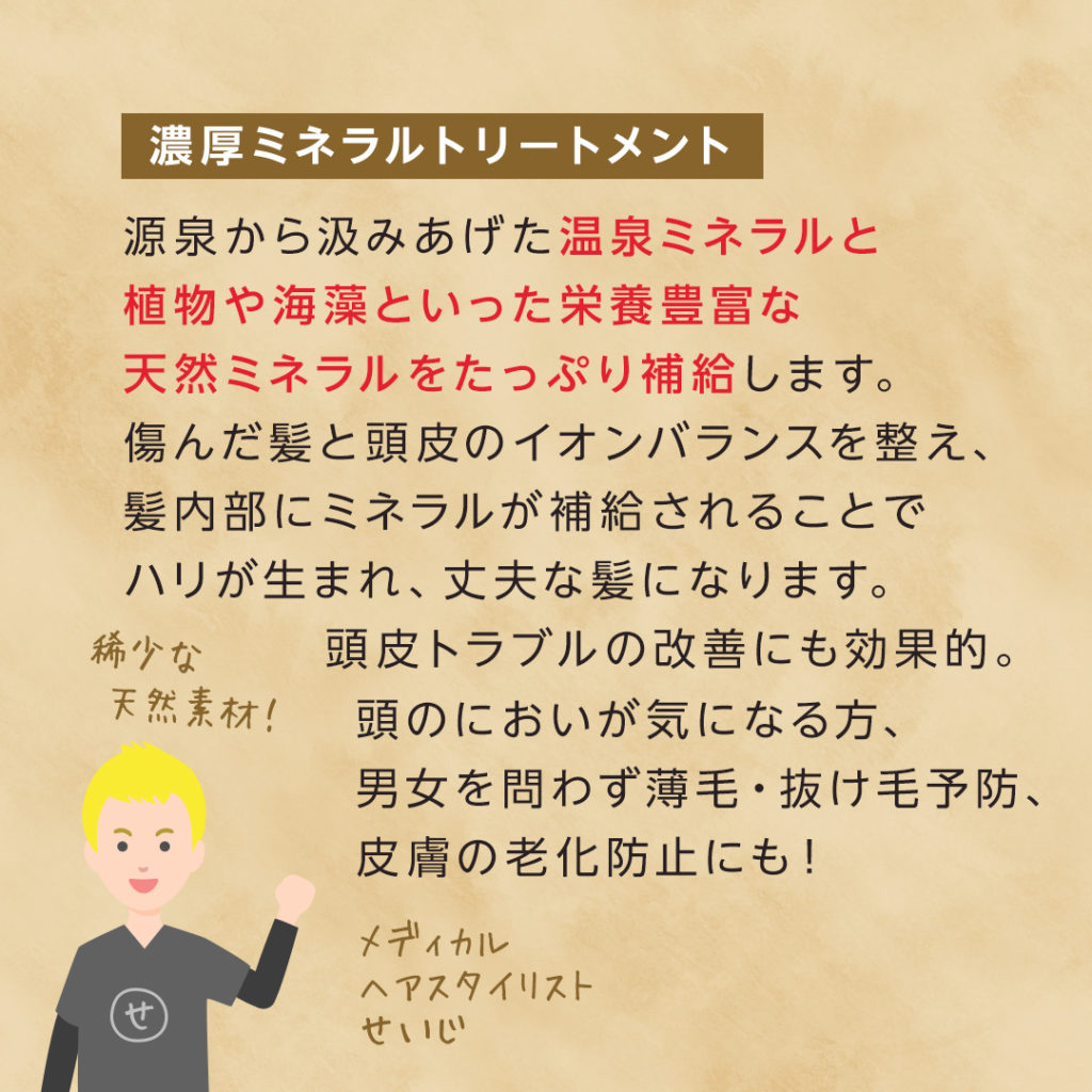 濃厚ミネラルトリートメント