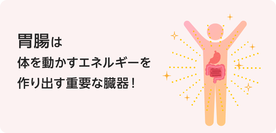 胃腸は体を動かすエネルギーを作り出す重要な臓器